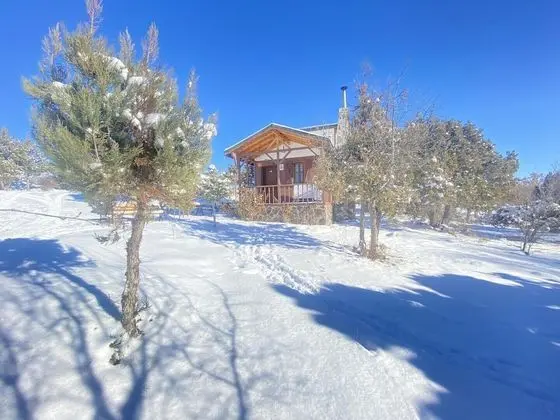 Standard Dağ Evi