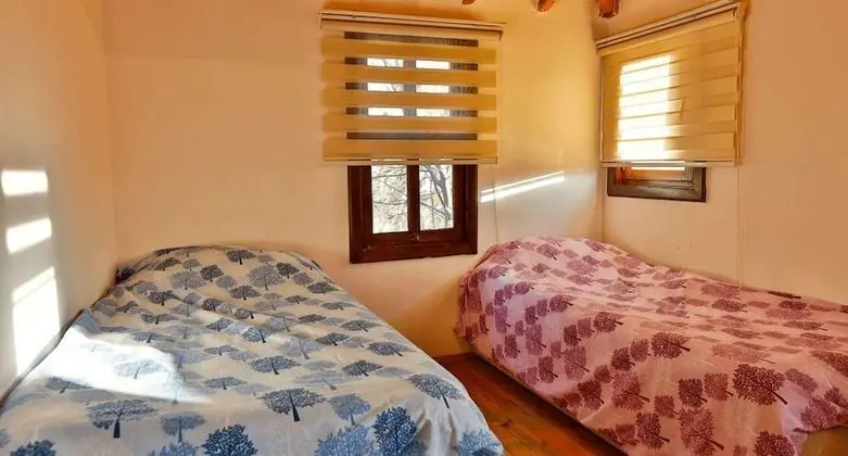 Standard Dağ Evi