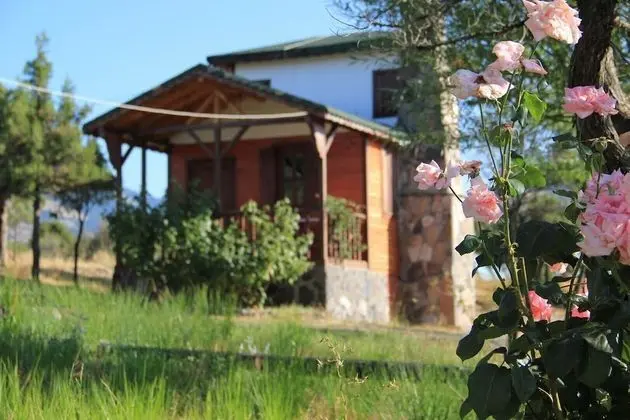Standard Dağ Evi