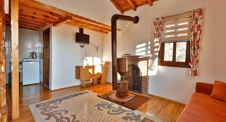 Standard Dağ Evi