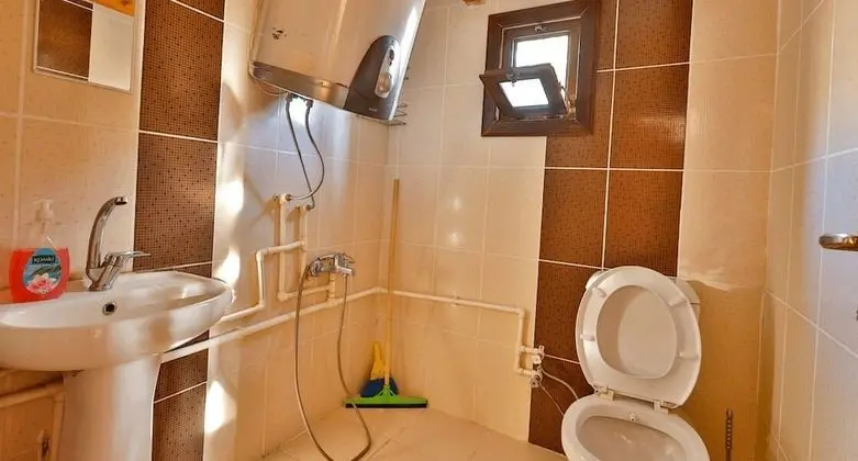 Standard Dağ Evi