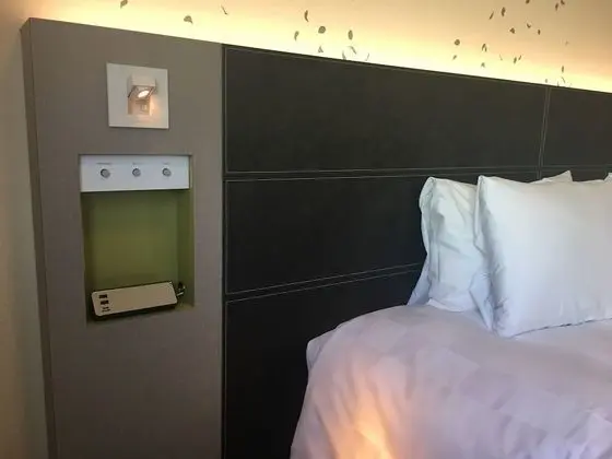 Superior Tek Büyük Yataklı Oda, Sigara İçilmez