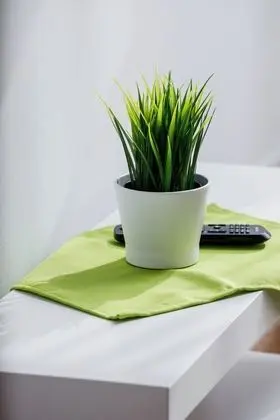 Apart Daire, 1 Yatak Odası, Teras, Dağ Manzaralı