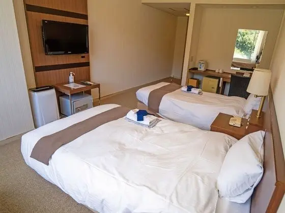 Standard İki Ayrı Yataklı Oda, Sigara İçilmez (with Bathroom)