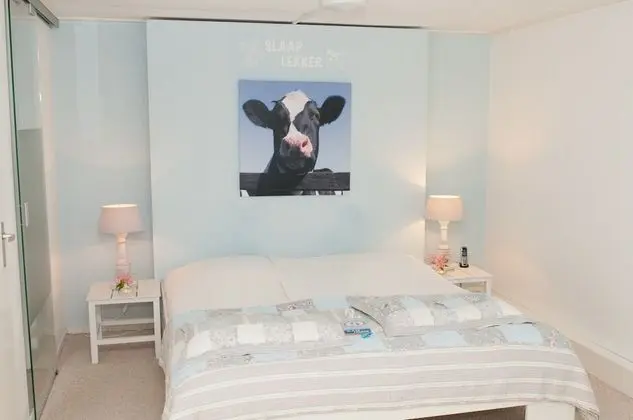 Standard Oda (Theme room)