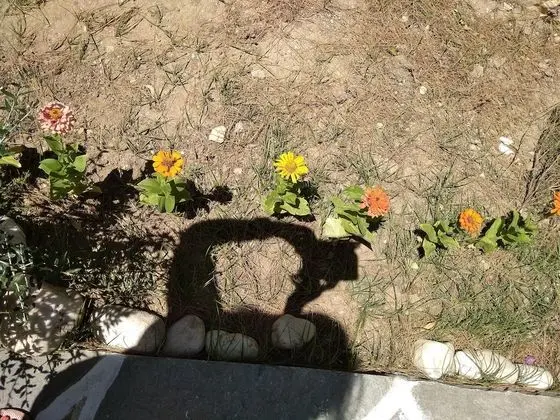 Ev, 1 Yatak Odası, Balkon