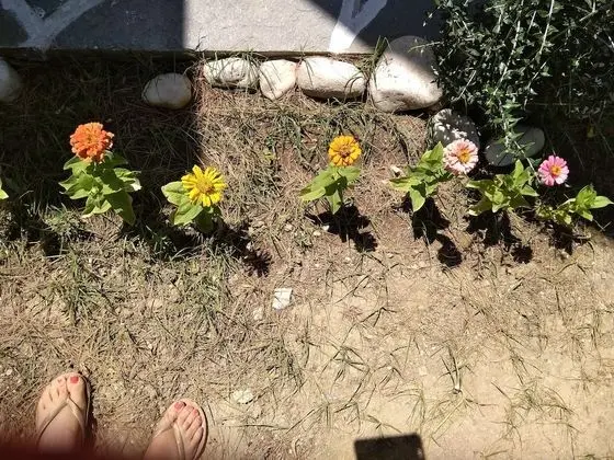 Ev, 1 Yatak Odası, Balkon