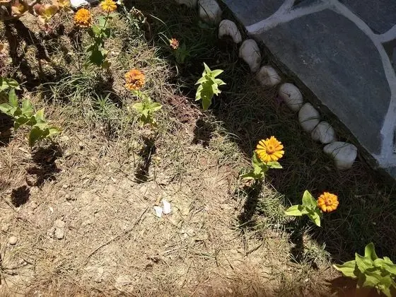 Ev, 2 Yatak Odası, Sigara İçilebilir, Balkon