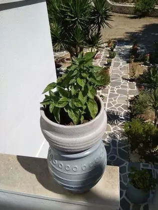 Ev, 2 Yatak Odası, Sigara İçilebilir, Balkon