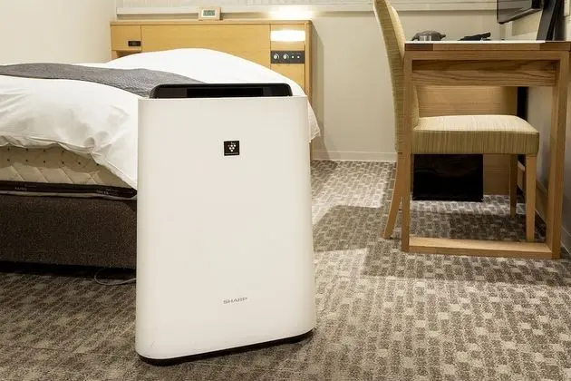 Oda, 1 Tek Kişilik XL Yatak, Sigara İçilebilir (Semi-Double)