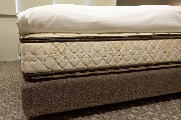 Oda, 1 Tek Kişilik XL Yatak, Sigara İçilebilir (Semi-Double)