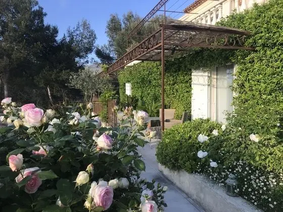 Luxury Tek Büyük Yataklı Oda (Rose)