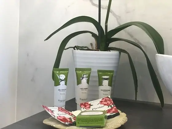 Luxury Tek Büyük Yataklı Oda (Rose)