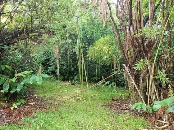 Odadan manzara