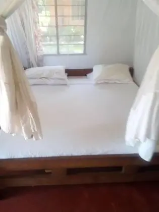 Deluxe Bungalov