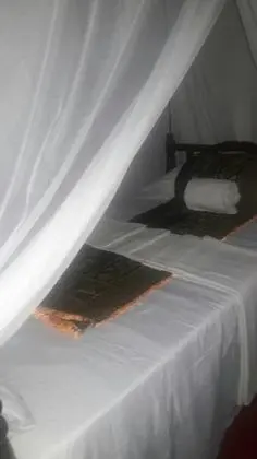 Deluxe Bungalov