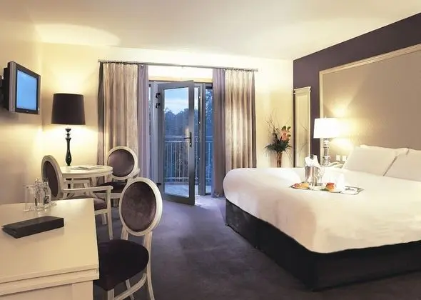 Deluxe Tek Büyük Yataklı Oda (Adults Only)