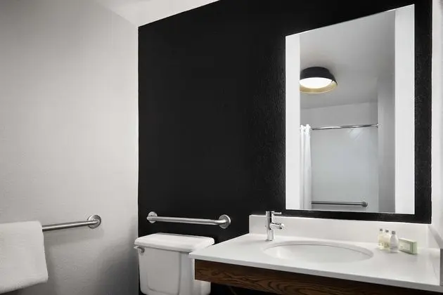 Oda, 1 En Büyük (King) Boy Yatak, Engellilere Uygun (Roll-In Shower)