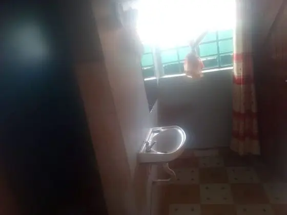 Tek Kişilik Oda