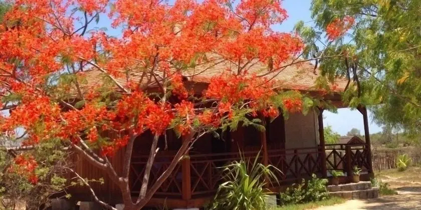 Villa, 3 Yatak Odası, Sigara İçilmez