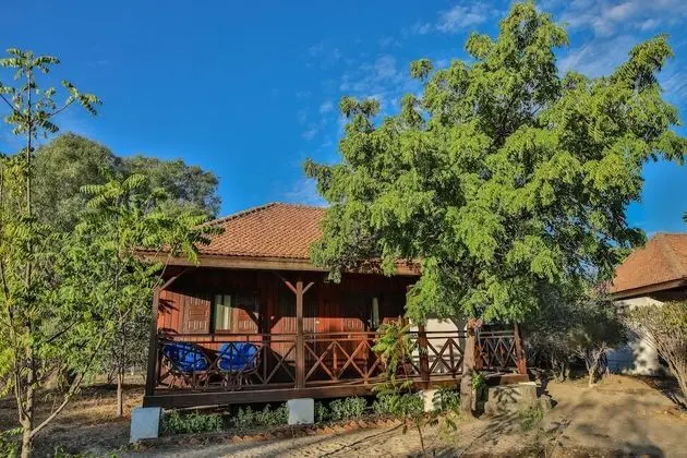 Bungalov, 1 Çift Kişilik Yatak, Sigara İçilmez (Double)