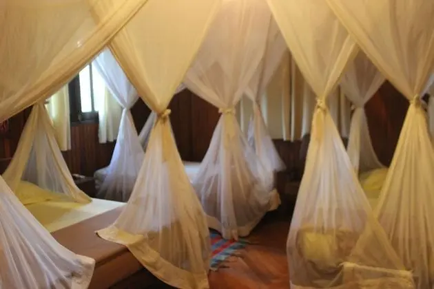 Family Bungalov, Birden Çok Yatak, Sigara İçilmez