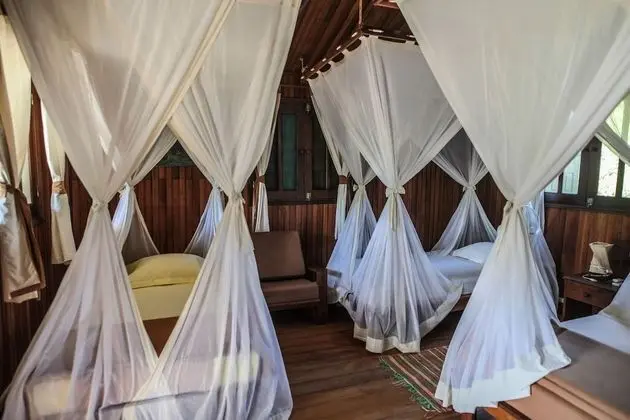 Family Bungalov, Birden Çok Yatak, Sigara İçilmez
