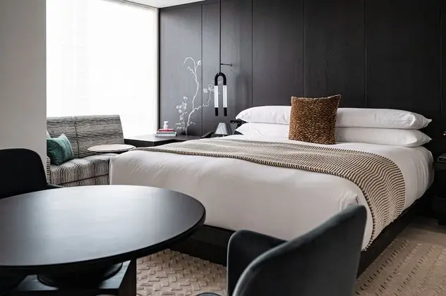 Premium Oda, 1 En Büyük (King) Boy Yatak (Pet Friendly)