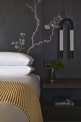 Premium Oda, 1 En Büyük (King) Boy Yatak (Pet Friendly)