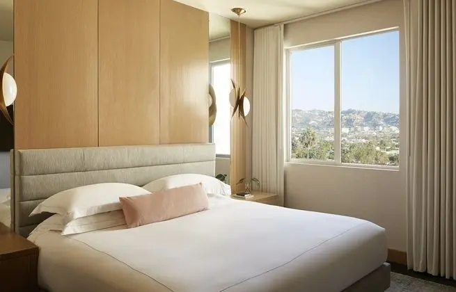 Çatı Katı Süiti (Penthouse) (Wilshire)