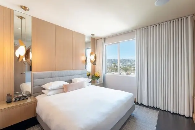 Çatı Katı Süiti (Penthouse) (Wilshire)