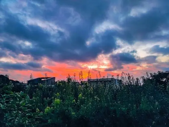 Basic Tek Büyük veya İki Ayrı Yataklı Oda