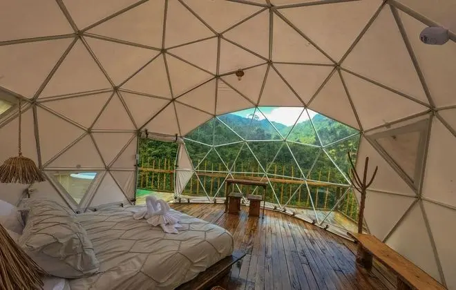Design Oda