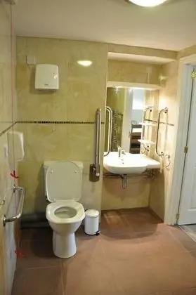 Standard Tek Büyük Yataklı Oda, Engellilere Uygun, Ek Bina