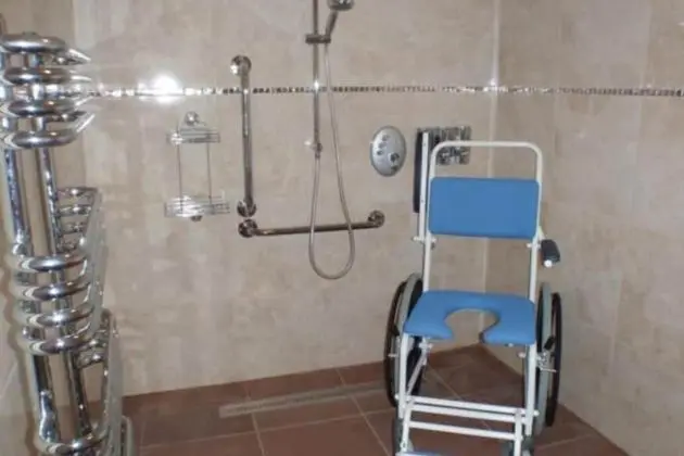 Standard Tek Büyük Yataklı Oda, Engellilere Uygun, Ek Bina