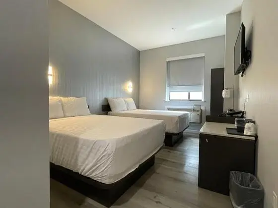 Deluxe Tek Büyük Yataklı Oda, 2 Çift Kişilik Yatak
