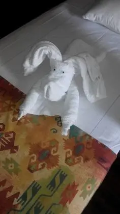 Standard Tek Kişilik Oda