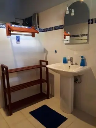 Süit
