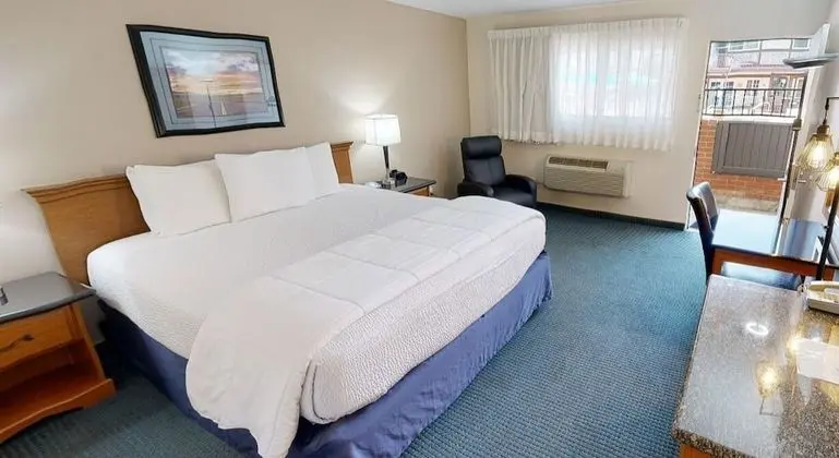 Standard Oda, 1 En Büyük (King) Boy Yatak (1 King Bed Nonsmoking)
