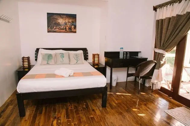 Tek Büyük Yataklı Oda, 1 Büyük (Queen) Boy Yatak, Özel Banyo