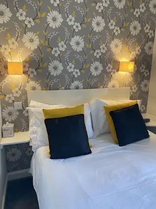 Tek Büyük Yataklı Oda, Banyolu/Duşlu (Room 1)
