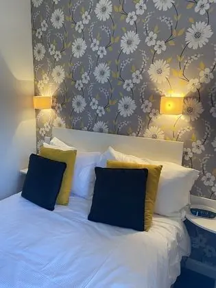 Tek Büyük Yataklı Oda, Banyolu/Duşlu (Room 1)