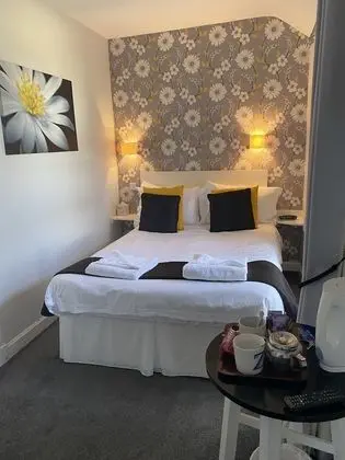 Tek Büyük Yataklı Oda, Banyolu/Duşlu (Room 1)