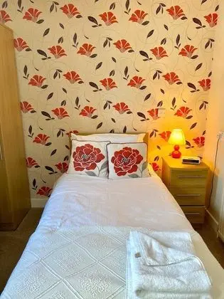 Tek Kişilik Oda, Banyolu/Duşlu (Room 7)