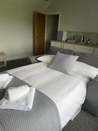 Deluxe Süit, Engellilere Uygun, Banyolu/Duşlu (Family Room)