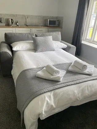 Deluxe Süit, Engellilere Uygun, Banyolu/Duşlu (Family Room)