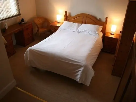 Basic Tek Büyük Yataklı Oda, Banyolu/Duşlu (Bath only)