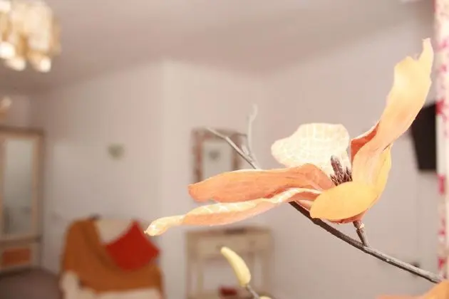 Family Dört Kişilik Oda, Banyolu/Duşlu (Cottage)