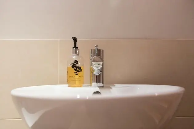 Süit