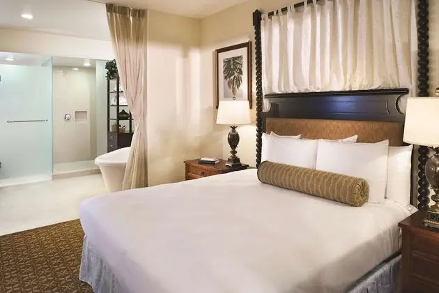Deluxe Süit, 1 Yatak Odası, Resort Manzaralı (1 King Bed with Sofabed)